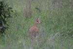 safrica_dec_13_image36.jpg